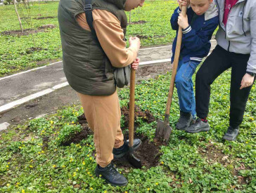 Дерева турботи у парку «Перемога»