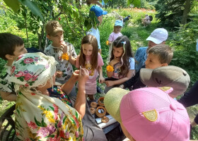 Проведення науково-пізнавальної гри-квесту: «Скарби Короленківської садиби»