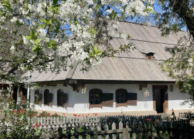 Тематична екскурсія «Квітами багата Україна-мати» в рамках благодійної ініціативи на садибі І.Котляревського Тематична екскурсія «Квітами багата Україна-мати» в рамках благодійної ініціативи на садибі І.Котляревського