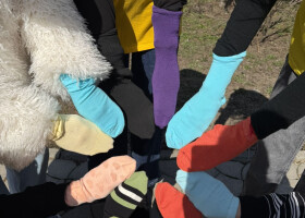 Творчість, арт-терапія та «живий куточок»: Всесвітній день людей із синдромом Дауна