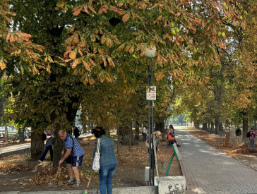 До Всесвітнього дня прибирання — World Cleanup Day