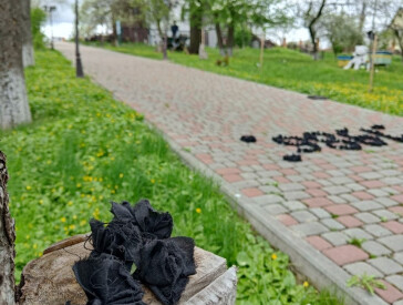 Флешмоб «Квітка пам’яті», присвячений 40-м роковинам Чорнобильської катастрофи