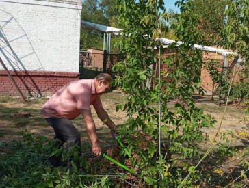 До Всесвітнього дня прибирання — World Cleanup Day