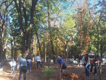 До Всесвітнього дня прибирання — World Cleanup Day