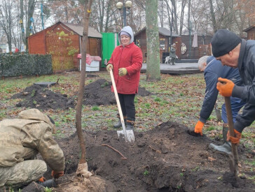 Нові дерева в парку "Перемога"