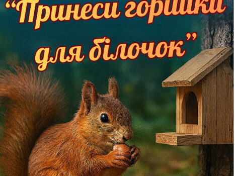 «Принеси горішки для білочок»